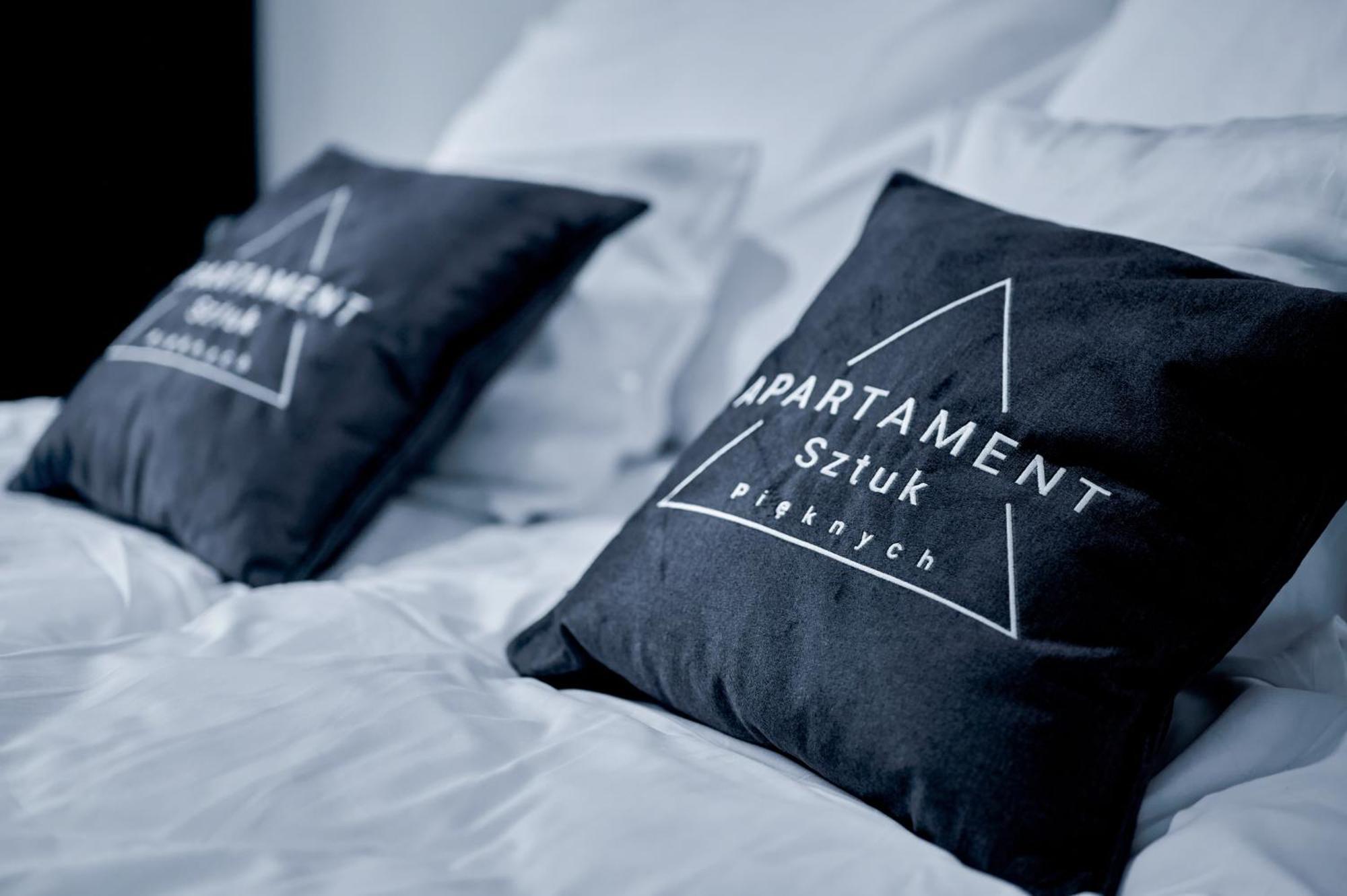 Apartament Sztuk Pieknych 10 皮拉 外观 照片